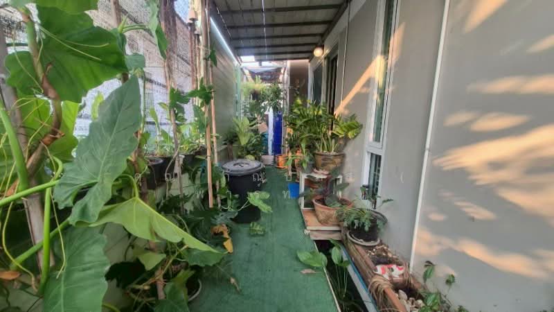 The Fusion Village : หมู่บ้านเดอะฟิวชั่น, พระนครศรีอยุธยา, บ้านกรด, บางปะอิน, พระนครศรีอยุธยา, 90 ตร.ม., ทาวน์เฮ้าส์ ขาย, โดย คุณ กัณปภัส ( พาร์ท ), 500298855 - DDproperty.com