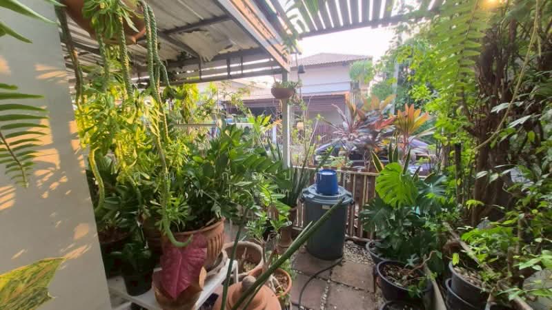 The Fusion Village, Phra Nakhon Si Ayutthaya, Ban Krot, Bang Pa-In, Phra Nakhon Si Ayutthaya, 2 Bedrooms, 90 sqm, Townhouse For Sale, by คุณ กัณปภัส ( พาร์ท ), 500298855 - DDproperty.com