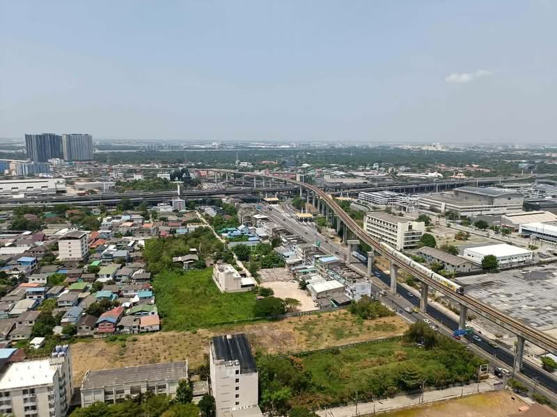 Supalai Veranda Sukhumvit 117 : ศุภาลัย เวอเรนด้า สุขุมวิท 117, สมุทรปราการ, ถ. สุขุมวิท 117, บางเมืองใหม่, เมืองสมุทรปราการ, สมุทรปราการ, 29 ตร.ม., คอนโด ให้เช่า, โดย นัทยาพร พึ่มกุล (เบนซ์), 500299021 - DDproperty.com