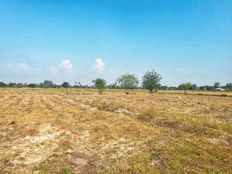 นอู่ทอง สุพรรณบุรี, Suphan Buri, Ban Kong, U Thong, Suphan Buri, , 58,276 sqm, Land For Sale, by The Best Property  แอ้, 500299071 - DDproperty.com