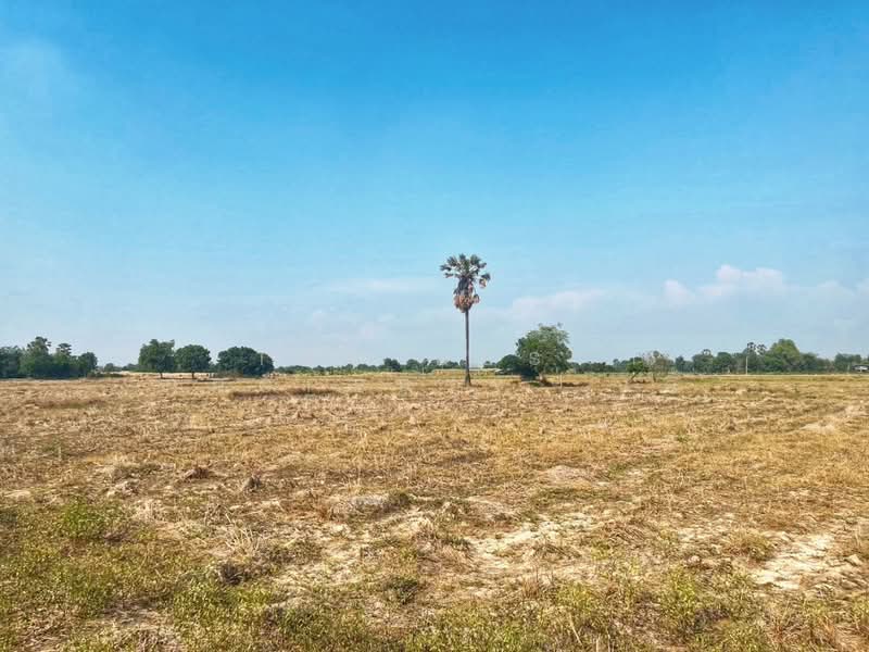 นอู่ทอง สุพรรณบุรี, Suphan Buri, Ban Kong, U Thong, Suphan Buri, , 58,276 sqm, Land For Sale, by The Best Property  แอ้, 500299071 - DDproperty.com