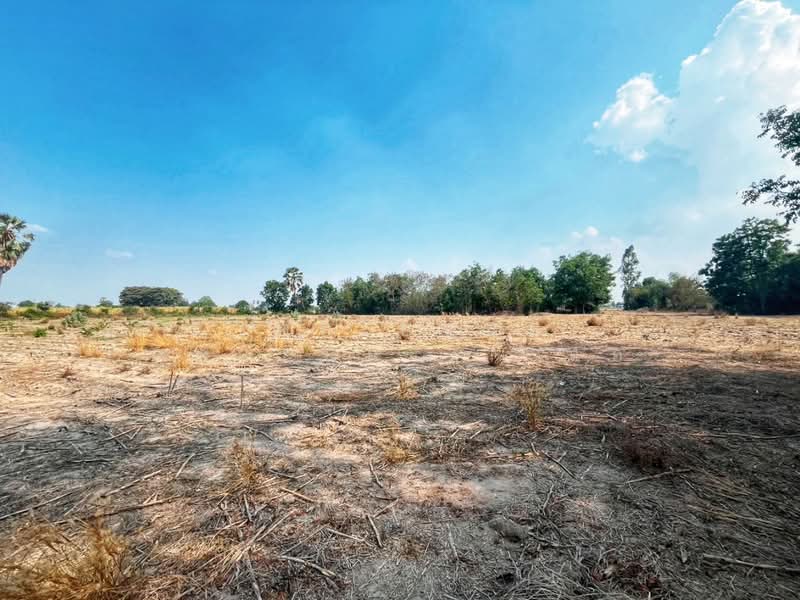 นอู่ทอง สุพรรณบุรี, Suphan Buri, Ban Kong, U Thong, Suphan Buri, , 58,276 sqm, Land For Sale, by The Best Property  แอ้, 500299071 - DDproperty.com