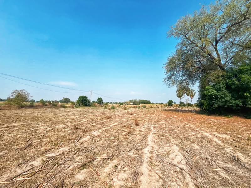 นอู่ทอง สุพรรณบุรี, Suphan Buri, Ban Kong, U Thong, Suphan Buri, , 58,276 sqm, Land For Sale, by The Best Property  แอ้, 500299071 - DDproperty.com