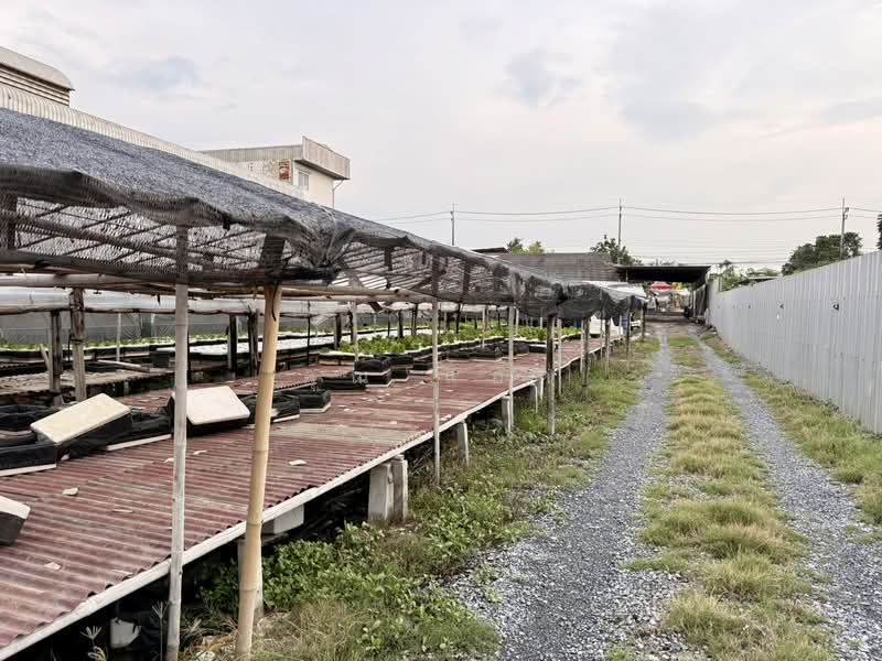 ขายบ้านเดี่ยว 2 หลัง พร้อมที่ดิน ขนาด 409 ตร.ว. พร้อมกิจการ ใกล้รถไฟฟ้า MRT สถานีแยกติวานนท์ บางกรวย, นนทบุรี, บางสีทอง, บางกรวย, นนทบุรี, 1,636 ตร.ม., บ้านเดี่ยว ขาย, โดย คุณ แอ๊ด, 500299077 - DDproperty.com