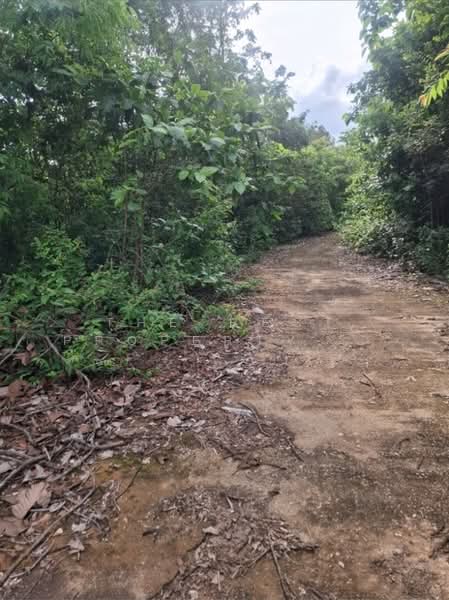 ที่ดินเทิง เชียงราย, เชียงราย, ศรีดอนไชย, เทิง, เชียงราย, 1,600 ตร.ม., ที่ดิน ขาย, โดย The Best Property Agent ไนล์, 500299094 - DDproperty.com