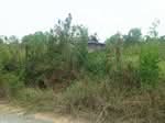ที่ดินองครักษ์ นครนายก, นครนายก