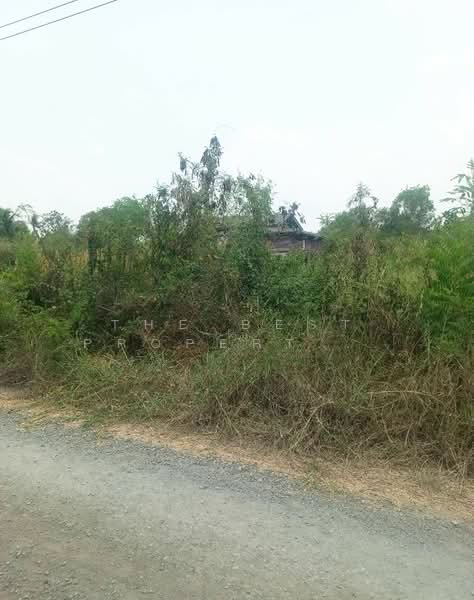 ที่ดินองครักษ์ นครนายก, นครนายก, บึงศาล, องครักษ์, นครนายก, 480 ตร.ม., ที่ดิน ขาย, โดย The Best Property วรรณ, 500299119 - DDproperty.com