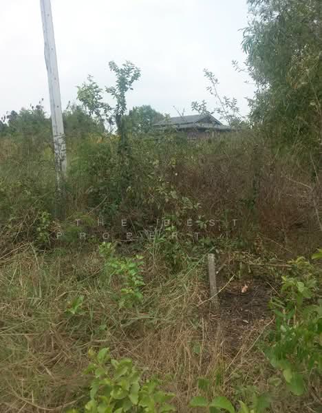 ที่ดินองครักษ์ นครนายก, Nakhon Nayok, Bung San, Ongkharak, Nakhon Nayok, , 480 sqm, Land For Sale, by The Best Property วรรณ, 500299119 - DDproperty.com