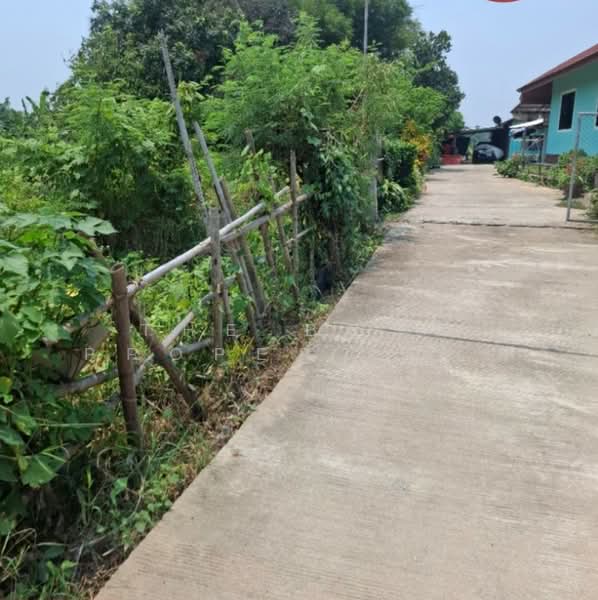 ขาย - ที่ดินแม่กรณ์ เชียงราย, เชียงราย