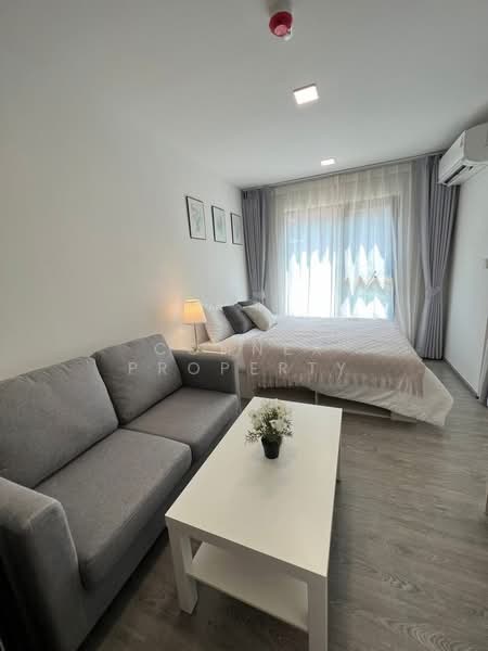 Kave Wonderland, Pathum Thani, Khlong Nung, Khlong Luang, Pathum Thani, 1 Bedroom, 25 sqm, Condo For Rent, by Connex Property, 500299140 - DDproperty.com