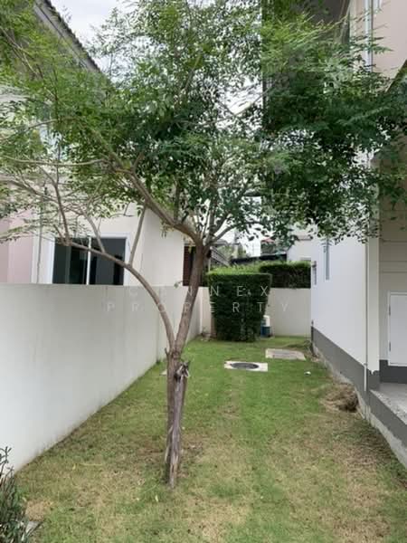 Kanasiri Bangna, Samut Prakan, Bangna-Trad Road, Soi ABEC, Bang Bo, Bang Bo, Samut Prakan, 3 Bedrooms, 113 sqm, Single Detached House For Rent, by Connex Property, 500299180 - DDproperty.com