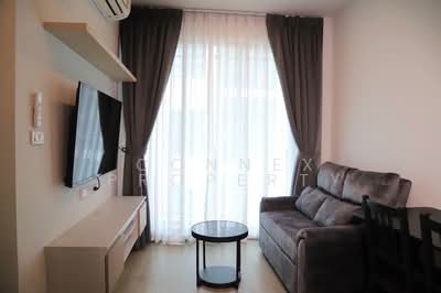 ขาย - Brixton Pet & Play Sukhumvit 107 : บริกซ์ตัน เพ็ทแอนด์เพลย์ สุขุมวิท 107, สมุทรปราการ