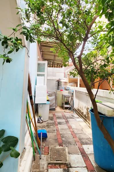 ภัสสร 1 รังสิต-คลอง 3, ปทุมธานี, คลองสาม, คลองหลวง, ปทุมธานี, 250 ตร.ม., บ้านเดี่ยว ขาย, โดย The Best Property รินทร์, 500299282 - DDproperty.com