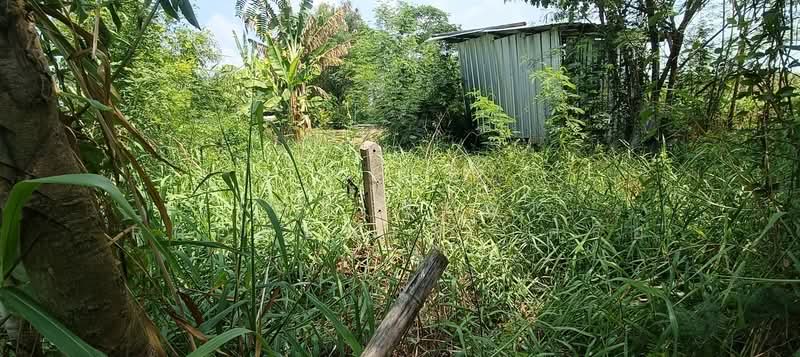 ที่ดินพร้อมสิ่งปลูกสร้างคลองเปรง ฉะเชิงเทรา, Chachoengsao, Khlong Preng, Muang Chachoengsao, Chachoengsao, , 828 sqm, Land For Sale, by The Best Property เครือ, 500299302 - DDproperty.com
