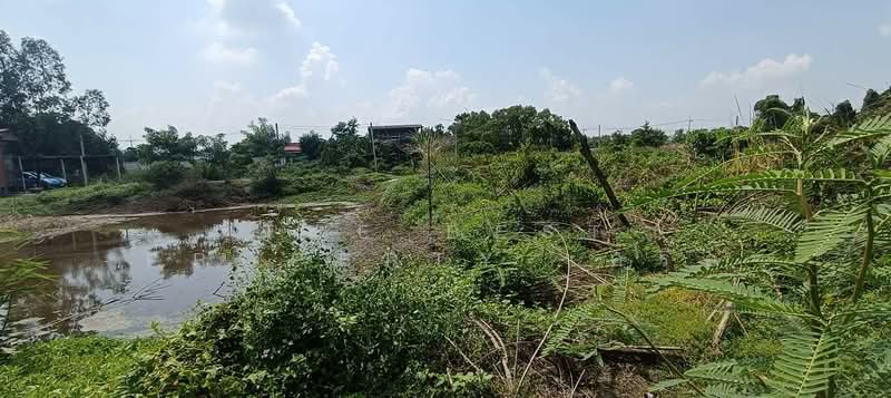 ที่ดินพร้อมสิ่งปลูกสร้างคลองเปรง ฉะเชิงเทรา, Chachoengsao, Khlong Preng, Muang Chachoengsao, Chachoengsao, , 828 sqm, Land For Sale, by The Best Property เครือ, 500299302 - DDproperty.com