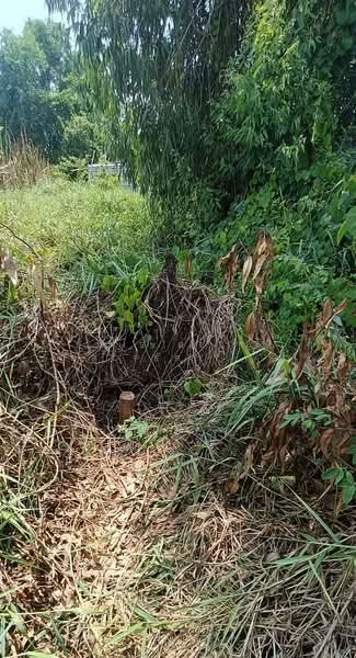 ที่ดินคลองเปรง ฉะเชิงเทรา, Chachoengsao, Khlong Preng, Muang Chachoengsao, Chachoengsao, , 832 sqm, Land For Sale, by The Best Property เครือ, 500299360 - DDproperty.com