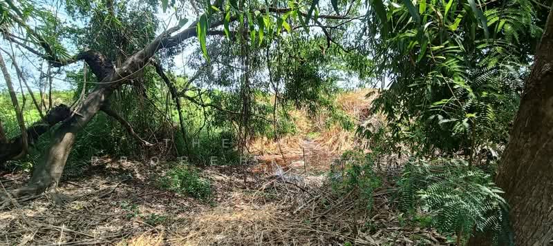ที่ดินคลองเปรง ฉะเชิงเทรา, Chachoengsao, Khlong Preng, Muang Chachoengsao, Chachoengsao, , 832 sqm, Land For Sale, by The Best Property เครือ, 500299360 - DDproperty.com