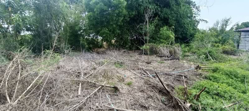 ที่ดินคลองเปรง ฉะเชิงเทรา, Chachoengsao, Khlong Preng, Muang Chachoengsao, Chachoengsao, , 832 sqm, Land For Sale, by The Best Property เครือ, 500299360 - DDproperty.com