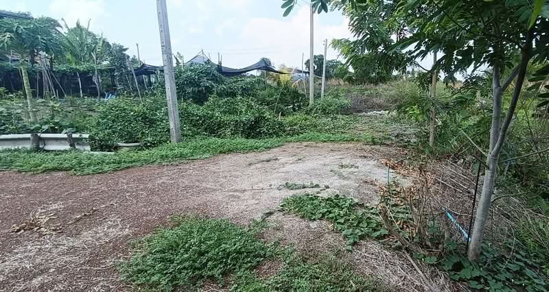 ที่ดินคลองเปรง ฉะเชิงเทรา, Chachoengsao, Khlong Preng, Muang Chachoengsao, Chachoengsao, , 832 sqm, Land For Sale, by The Best Property เครือ, 500299360 - DDproperty.com