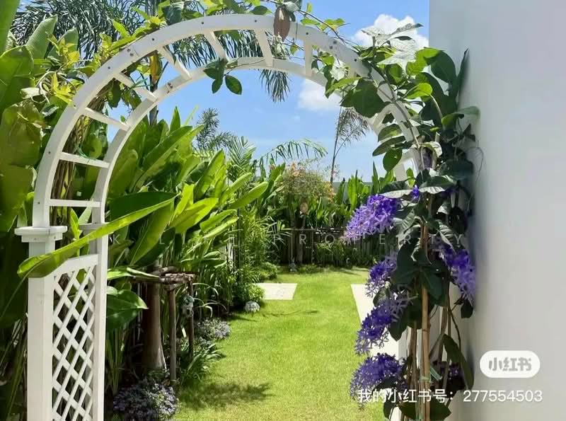 2R1090 Pool villa for rent 4 bedroom 3 bathroom 200,000/month at cherngtalay have fully furnished, Phuket, Choeng Thale, Thalang, Phuket, 4 Bedrooms, 300 sqm, Villa For Rent, by PK LIFE Property, 500299364 - DDproperty.com