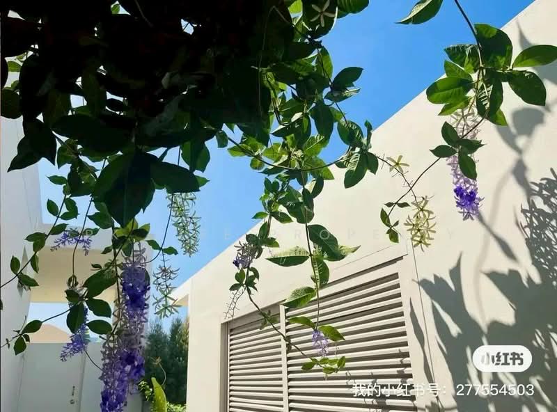 2R1090 Pool villa for rent 4 bedroom 3 bathroom 200,000/month at cherngtalay have fully furnished, Phuket, Choeng Thale, Thalang, Phuket, 4 Bedrooms, 300 sqm, Villa For Rent, by PK LIFE Property, 500299364 - DDproperty.com