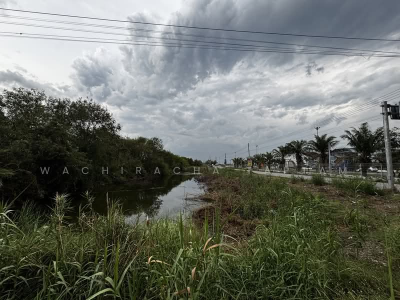 Land for sale in Phan Thong, adjacent to the motorway., Chon Buri (Pattaya), Ban Khao, Phan Thong, Chon Buri (Pattaya), , 3,488 sqm, Retail Space For Sale, by Wachiracha Taptam, 500299475 - DDproperty.com