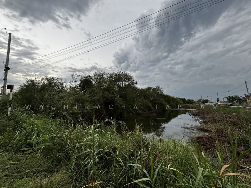 Land for sale in Phan Thong, adjacent to the motorway., Chon Buri (Pattaya), Ban Khao, Phan Thong, Chon Buri (Pattaya), , 3,488 sqm, Retail Space For Sale, by Wachiracha Taptam, 500299475 - DDproperty.com