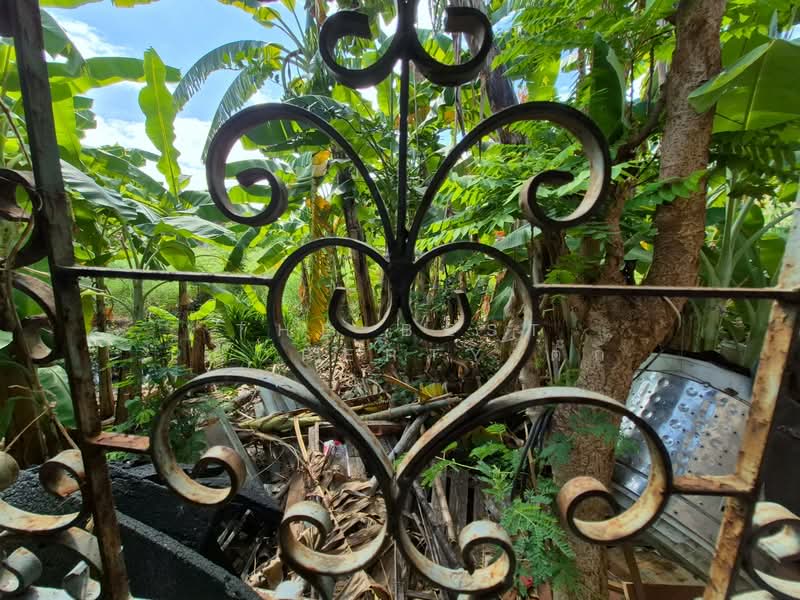 บ้านเดี่ยวสำโรงเหนือ สมุทรปราการ, Samut Prakan, Samrong Nua, Muang Samut Prakarn, Samut Prakan, 3 Bedrooms, 150 sqm, Single Detached House For Sale, by The Best Property ตั๊ก, 500299539 - DDproperty.com