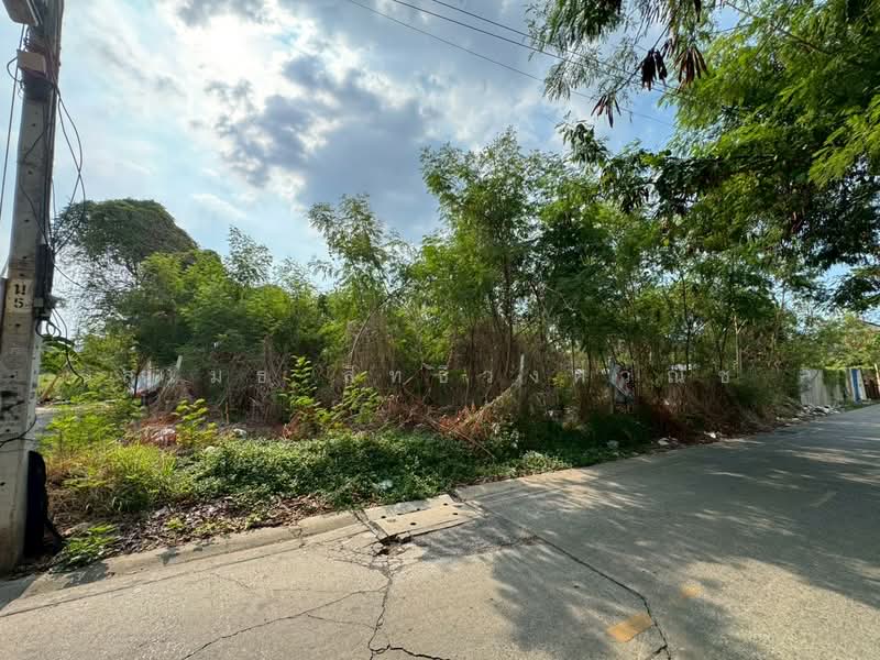 ที่ดิน ซ.ติวานนท์ 24, นนทบุรี, บางกระสอ, เมืองนนทบุรี, นนทบุรี, 604 ตร.ม., ที่ดิน ขาย, โดย สุเมธ สิทธิวงศ์วณิช, 500299646 - DDproperty.com