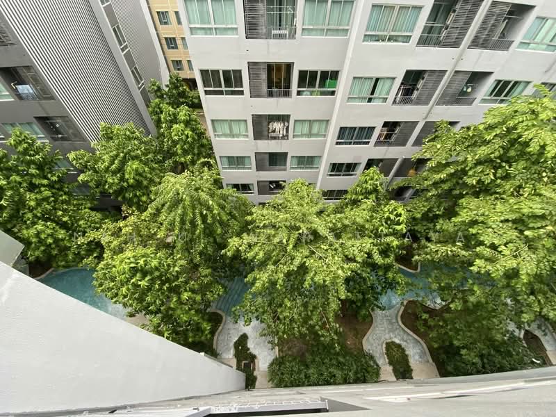 Elio Del Moss Phaholyothin 34, Bangkok, Soi Phahonyothin 34 Yaek 1, Sena Nikhom, Chatuchak, Bangkok, 1 Bedroom, 31 sqm, Condo For Rent, by Nah-U. Warattaya, 500299695 - DDproperty.com