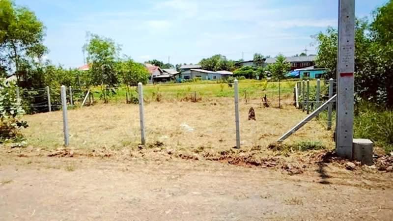 ไม่พบโครงการ, กรุงเทพ, คลองเก้า สุวินทวงศ์, คลองสิบ, หนองจอก, กรุงเทพ, 1,960 ตร.ม., ที่ดิน ให้เช่า, โดย ณัฐพงศ์ สุนทรอรุณ, 500299699 - DDproperty.com