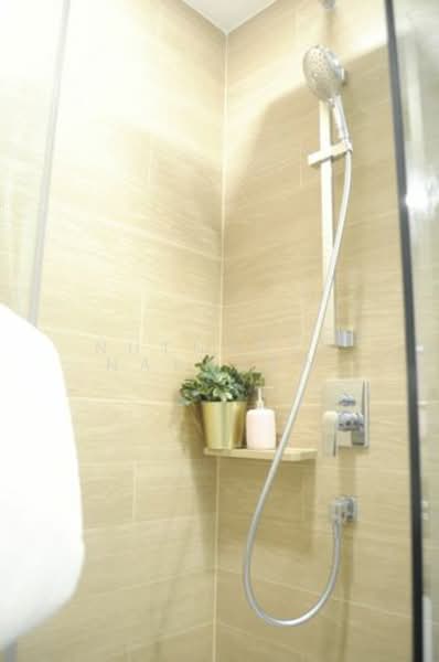 Taka Haus, Bangkok, 99 Soi Ekamai 10, Khlong Tan Nua, Watthana, Bangkok, 1 Bedroom, 35 sqm, Condo For Rent, by Nutnaree Nakkaew, 500299741 - DDproperty.com