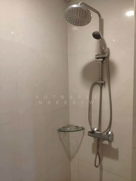 Le Luk Condominium, Bangkok, 1599 291 Sukhumvit Rd, Phra Kanong Nua, Watthana, Bangkok, 1 Bedroom, 50 sqm, Condo For Rent, by Nutnaree Nakkaew, 500299965 - DDproperty.com