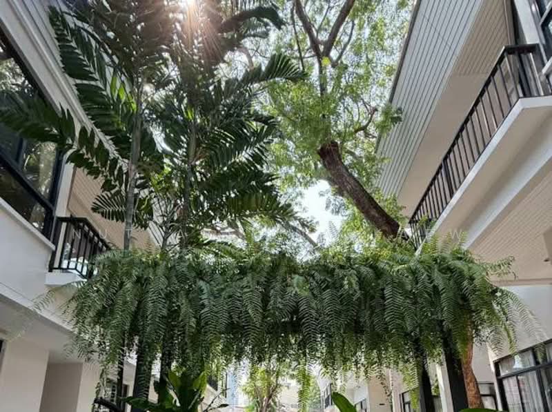 The Residences At Mandarin Oriental, Bangkok, 117 Charoen Nakorn Road, Khlong Ton Sai, Khlong San, Bangkok, 3 Bedrooms, 112 sqm, Condo For Rent, by Nutnaree Nakkaew, 500299986 - DDproperty.com