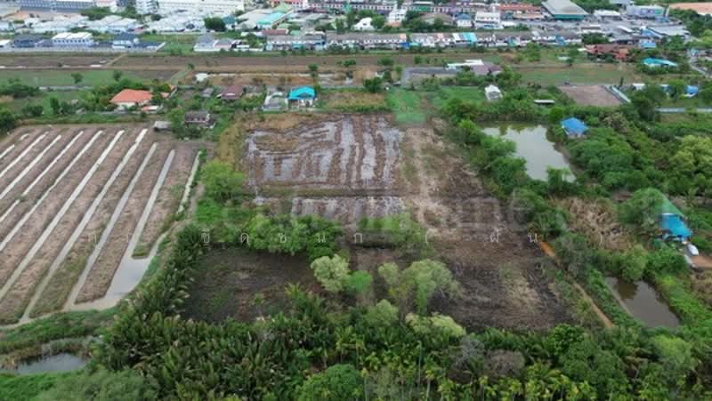 ที่ดินแปลงสี่เหลี่ยมสวย ทำเล EEC ใจกลางเมืองฉะเชิงเทรา, ฉะเชิงเทรา, เพชรเกษม 69, บ้านใหม่, เมืองฉะเชิงเทรา, ฉะเชิงเทรา, 17,928 ตร.ม., ที่ดิน ขาย, โดย คุณ ชิดชนก ( ฝัน ), 500300115 - DDproperty.com