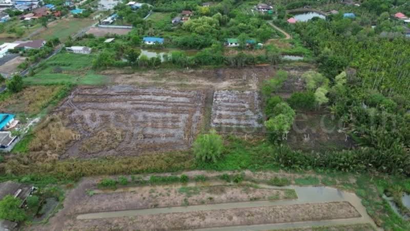 ที่ดินแปลงสี่เหลี่ยมสวย ทำเล EEC ใจกลางเมืองฉะเชิงเทรา, Chachoengsao, เพชรเกษม 69, Ban Mai, Muang Chachoengsao, Chachoengsao, , 17,928 sqm, Land For Sale, by คุณ ชิดชนก ( ฝัน ), 500300115 - DDproperty.com