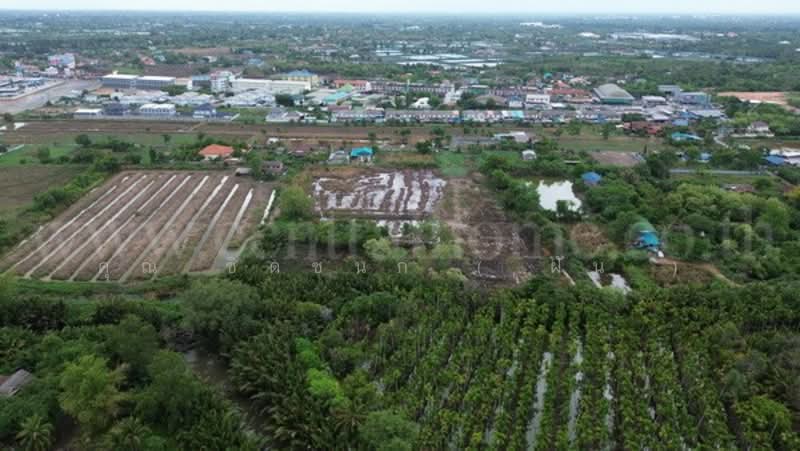 ที่ดินแปลงสี่เหลี่ยมสวย ทำเล EEC ใจกลางเมืองฉะเชิงเทรา, ฉะเชิงเทรา, เพชรเกษม 69, บ้านใหม่, เมืองฉะเชิงเทรา, ฉะเชิงเทรา, 17,928 ตร.ม., ที่ดิน ขาย, โดย คุณ ชิดชนก ( ฝัน ), 500300115 - DDproperty.com