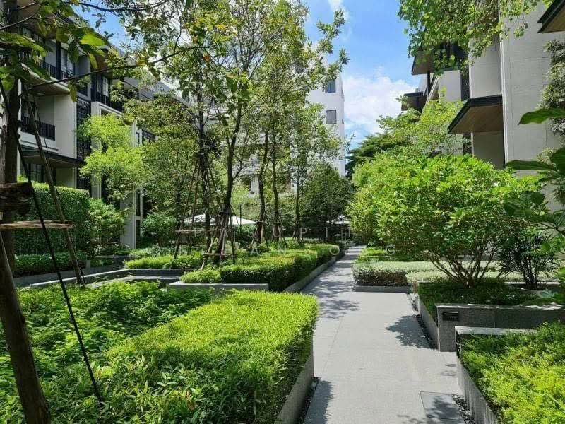 Quarter 31, Bangkok, 333 Soi Sukhumvit 31, Khlong Tan Nua, Watthana, Bangkok, Studio, 431 sqm, Townhouse For Rent, by Pasupit Ditbanjong, 500300189 - DDproperty.com