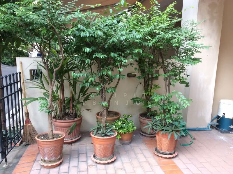 Baan Klang Krung Thonglor : บ้านกลางกรุงทองหล่อ, กรุงเทพ, 55 ซอยสุขุมวิท 55, คลองตันเหนือ, วัฒนา, กรุงเทพ, 290 ตร.ม., ทาวน์เฮ้าส์ ให้เช่า, โดย Pasupit Ditbanjong, 500300295 - DDproperty.com