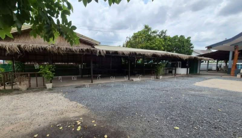บ้านเดี่ยว บ้านหนองหลุบ ถนนมะลิวัลย์ ขอนแก่น ทำเลทองติดถนน ราคาถูก, Khon Kaen, มะลิวัลย์, Daeng Yai, Muang Khon Kaen, Khon Kaen, 3 Bedrooms, 776 sqm, Single Detached House For Sale, by คุณ กัณปภัส ( พาร์ท ), 500300592 - DDproperty.com