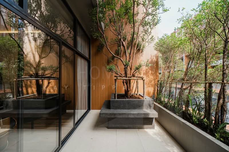 ขาย - The Park Lane Sukhumvit 105-Lasalle 24 : เดอะ พาร์ค เลน สุขุมวิท 105-ลาซาล 24, กรุงเทพ
