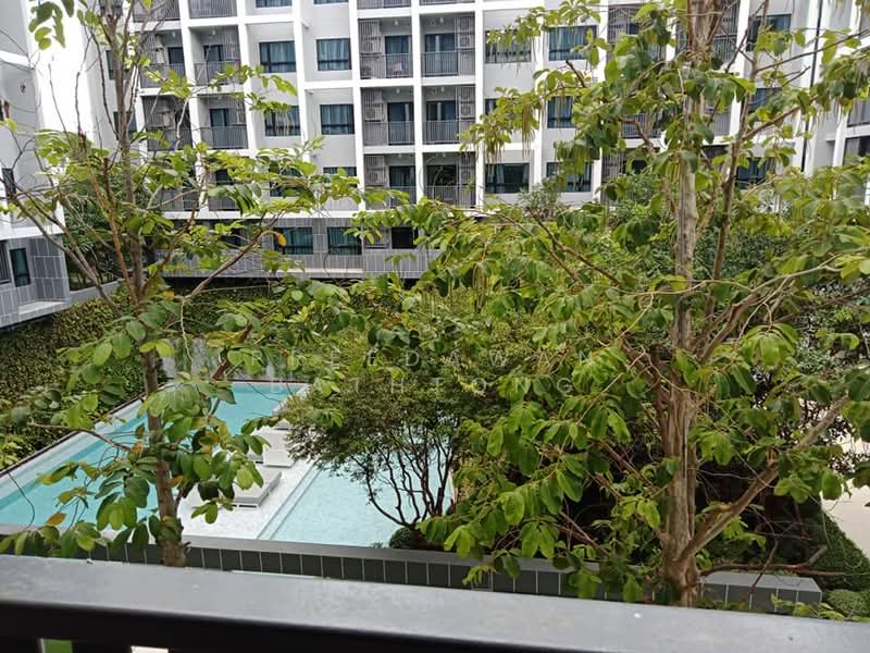 Dusit D2 Residences Hua Hin : ดุสิตดีทู เรสซิเดนเซส หัวหิน, ประจวบคีรีขันธ์, ถนนเพชรเกษม, หนองแก, หัวหิน, ประจวบคีรีขันธ์, 30 ตร.ม., คอนโด ให้เช่า, โดย Preedawan Bathtong, 500300766 - DDproperty.com