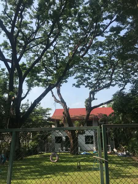 4-BR House, Bangkok, Bang Kapi, Huai Khwang, Bangkok, 4 Bedrooms, 270 sqm, Single Detached House For Rent, by Pasupit Ditbanjong, 500300849 - DDproperty.com