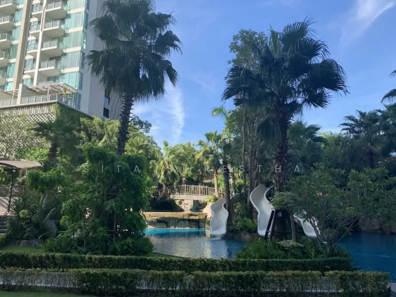 The Riviera Wongamat, Chon Buri (Pattaya), Na Kluea 16 Alley, Na Kloe, Bang Lamung (Pattaya), Chon Buri (Pattaya), 1 Bedroom, 32 sqm, Condo For Rent, by Sita Shrestha, 500301064 - DDproperty.com