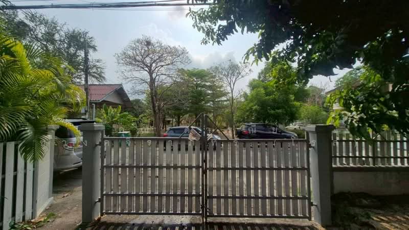 เค.ซี.การ์เด้นโฮม 11 (K.C. Garden Home 11), กรุงเทพ, ถนนนิมิตใหม่, สามวาตะวันออก, คลองสามวา, กรุงเทพ, 150 ตร.ม., บ้านเดี่ยว ขาย, โดย คุณ ดารุณีย์ ชูวงค์จิราภัทร์ (โรส), 500301310 - DDproperty.com