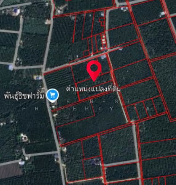 ที่ดินบางคนที สมุทรสงคราม, สมุทรสงคราม, ดอนมะโนรา, บางคนที, สมุทรสงคราม, 6,528 ตร.ม., ที่ดิน ขาย, โดย The Best Property อ้อ, 500301314 - DDproperty.com