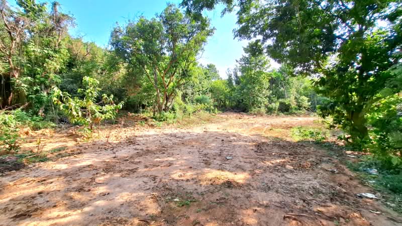 ที่ดินจังหาร ร้อยเอ็ด, ร้อยเอ็ด, ยางใหญ่, จังหาร, ร้อยเอ็ด, 11,032 ตร.ม., ที่ดิน ขาย, โดย The Best Property ทองใบ, 500301414 - DDproperty.com