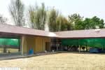 ที่ดินบ้านแลง 1 ไร่ 56.6 ตร.ว ลำปาง ใกล้เขื่อนกิ่วลม DD-085395, ลำปาง