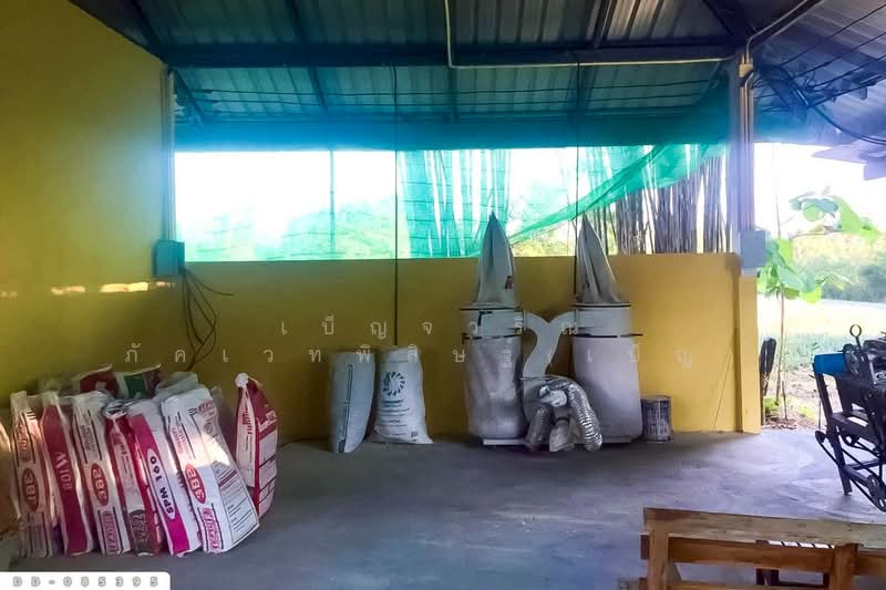 ที่ดินบ้านแลง 1 ไร่ 56.6 ตร.ว ลำปาง ใกล้เขื่อนกิ่วลม DD-085395, ลำปาง, บ้านแลง, เมืองลำปาง, ลำปาง, 1,824 ตร.ม., ที่ดิน ขาย, โดย เบ็ญจวริณ ภัคเวทพิสิษฐ์(เบ็ญ), 500301486 - DDproperty.com