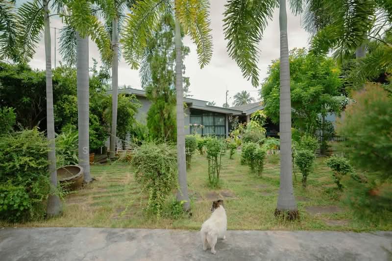 2-BR House, Chon Buri (Pattaya), Ban Suan, Muang Chon Buri, Chon Buri (Pattaya), 2 Bedrooms, 93 sqm, Single Detached House For Sale, by Sita Shrestha, 500301489 - DDproperty.com